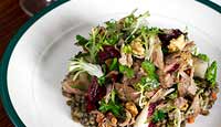 Confit duck salad with lentils in sherry vinaigrette, mustard fruits & walnuts