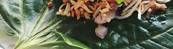 Bettel leaf w crispy prawn, roasted coconut & caramelised tamarind sauce